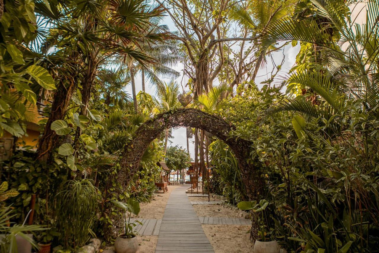 Hotel Casa Colibri Плая-дель-Кармен Экстерьер фото