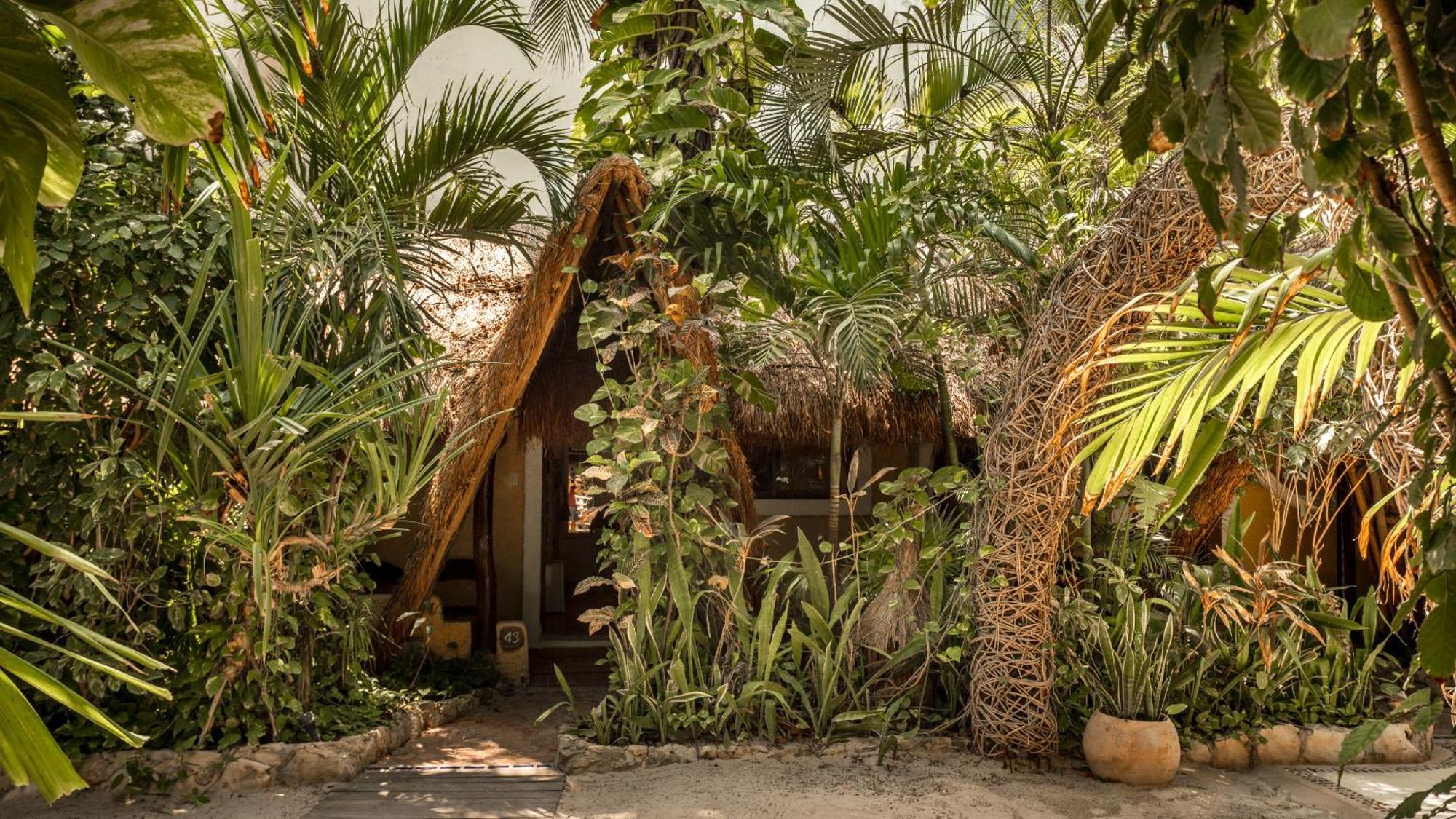 Hotel Casa Colibri Плая-дель-Кармен Экстерьер фото